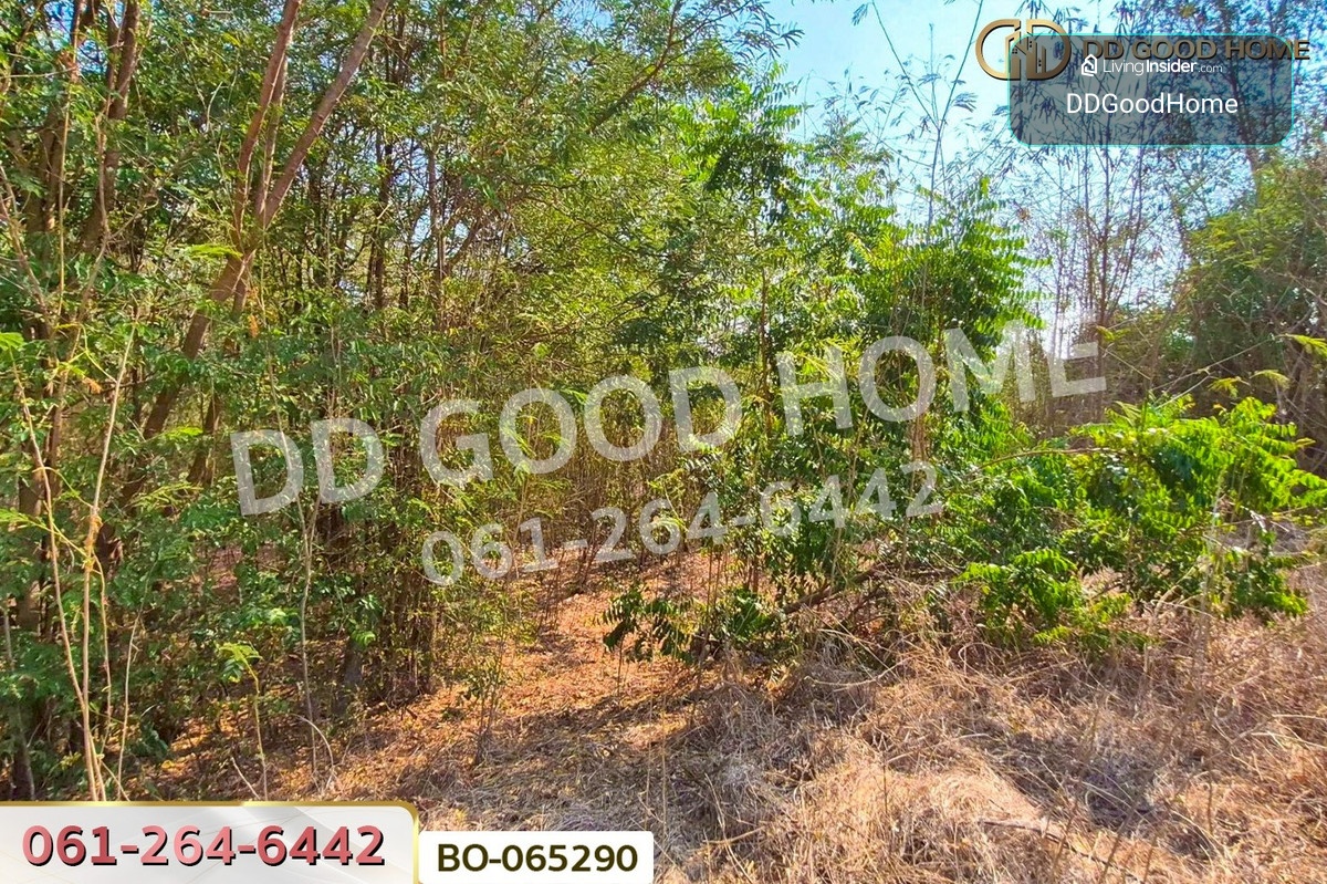 ที่ดินบ้านหมี่ 1 ไร่ 386.6 ตร.ว. ลพบุรี ใกล้ที่ว่าการอำเภอบ้านหมี่ BO-065290 – รูปที่ 3