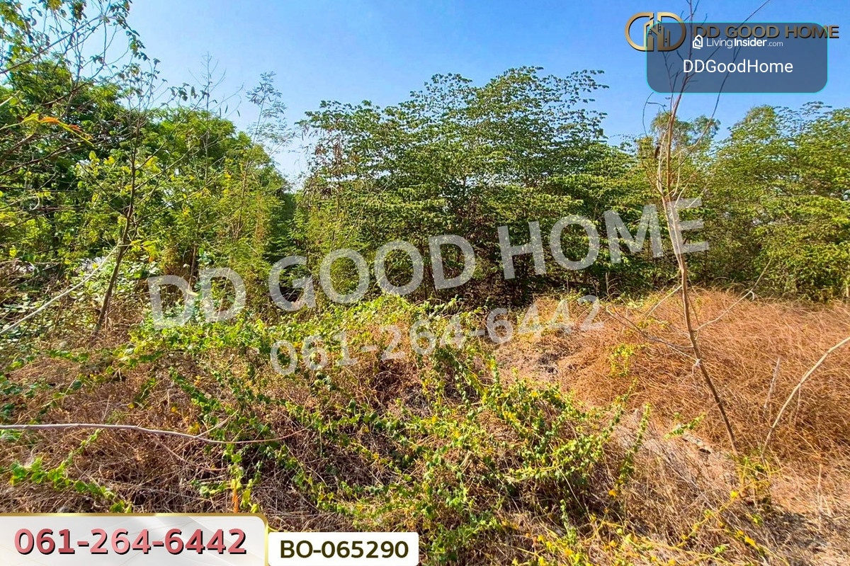 ที่ดินบ้านหมี่ 1 ไร่ 386.6 ตร.ว. ลพบุรี ใกล้ที่ว่าการอำเภอบ้านหมี่ BO-065290 – รูปที่ 4