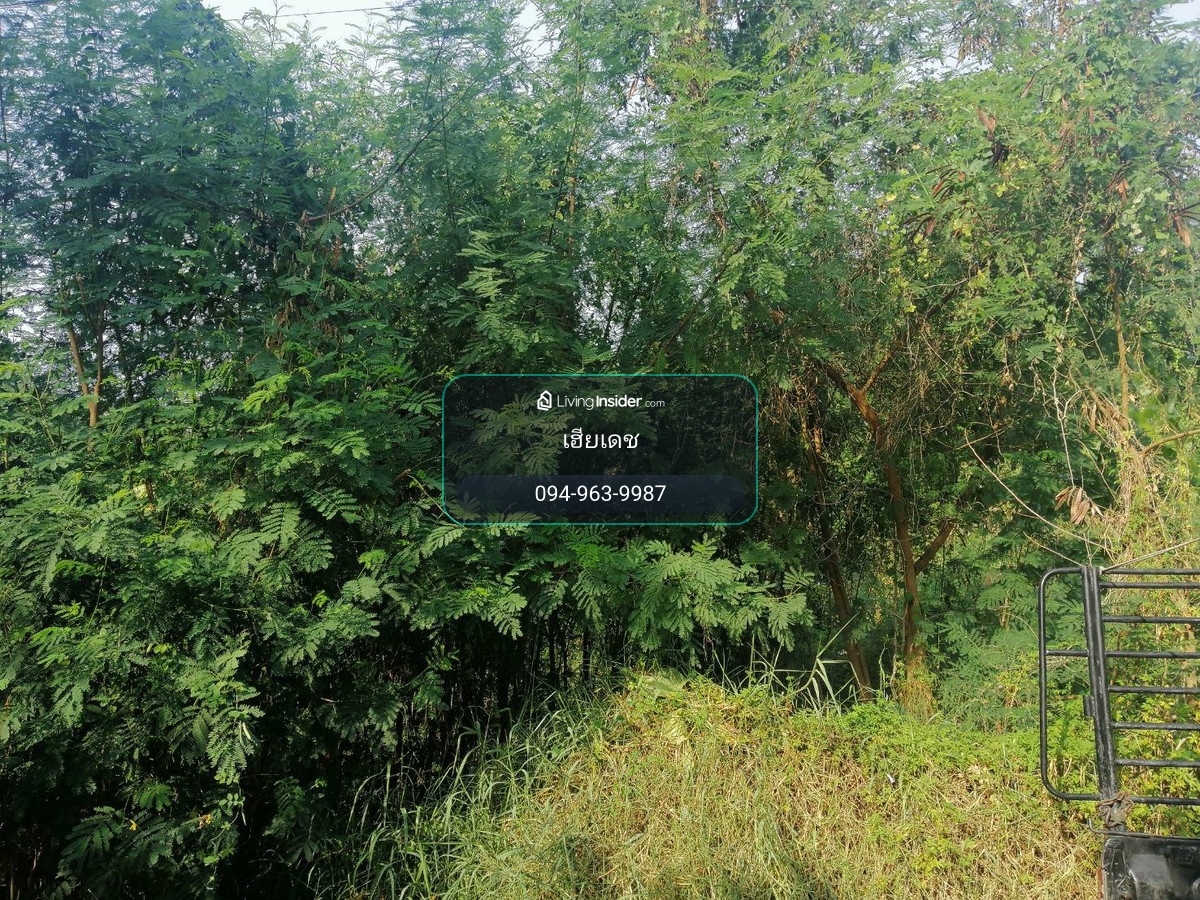 Land for sale Petchkasem 69, area 51 square meters, cheap, good location, next to the road, walk in and out of the alley, only 30 meters. – รูปที่ 3