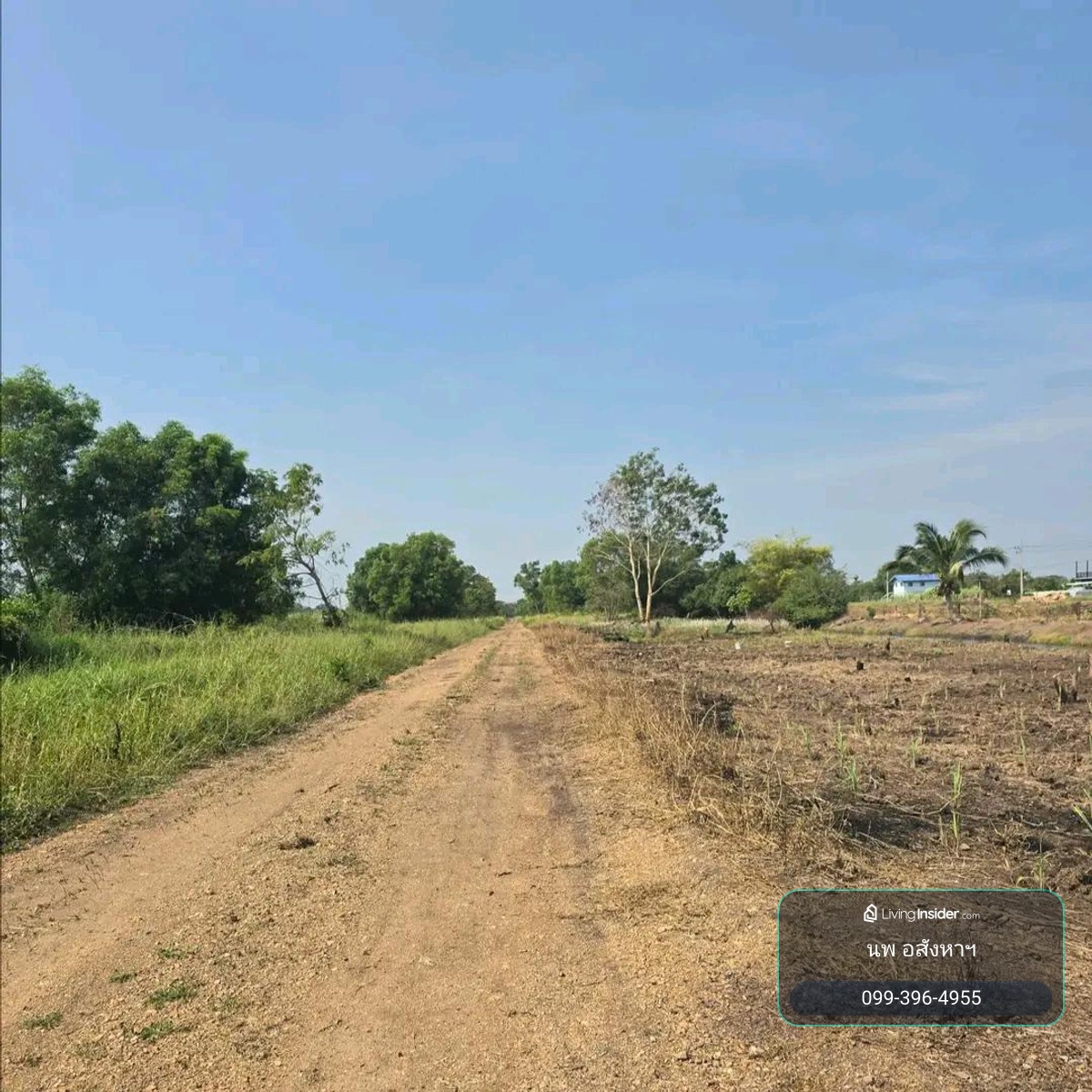 Empty land 200 sq m, Khlong 6, Pathum Thani Province, for sale 790,0000 baht. – รูปที่ 3