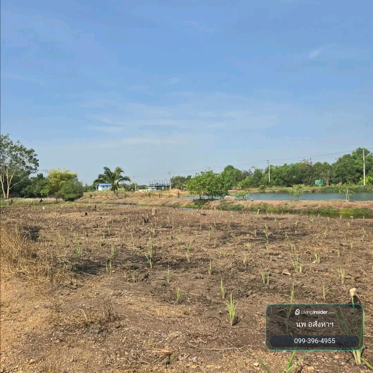 Empty land 200 sq m, Khlong 6, Pathum Thani Province, for sale 790,0000 baht. – รูปที่ 2
