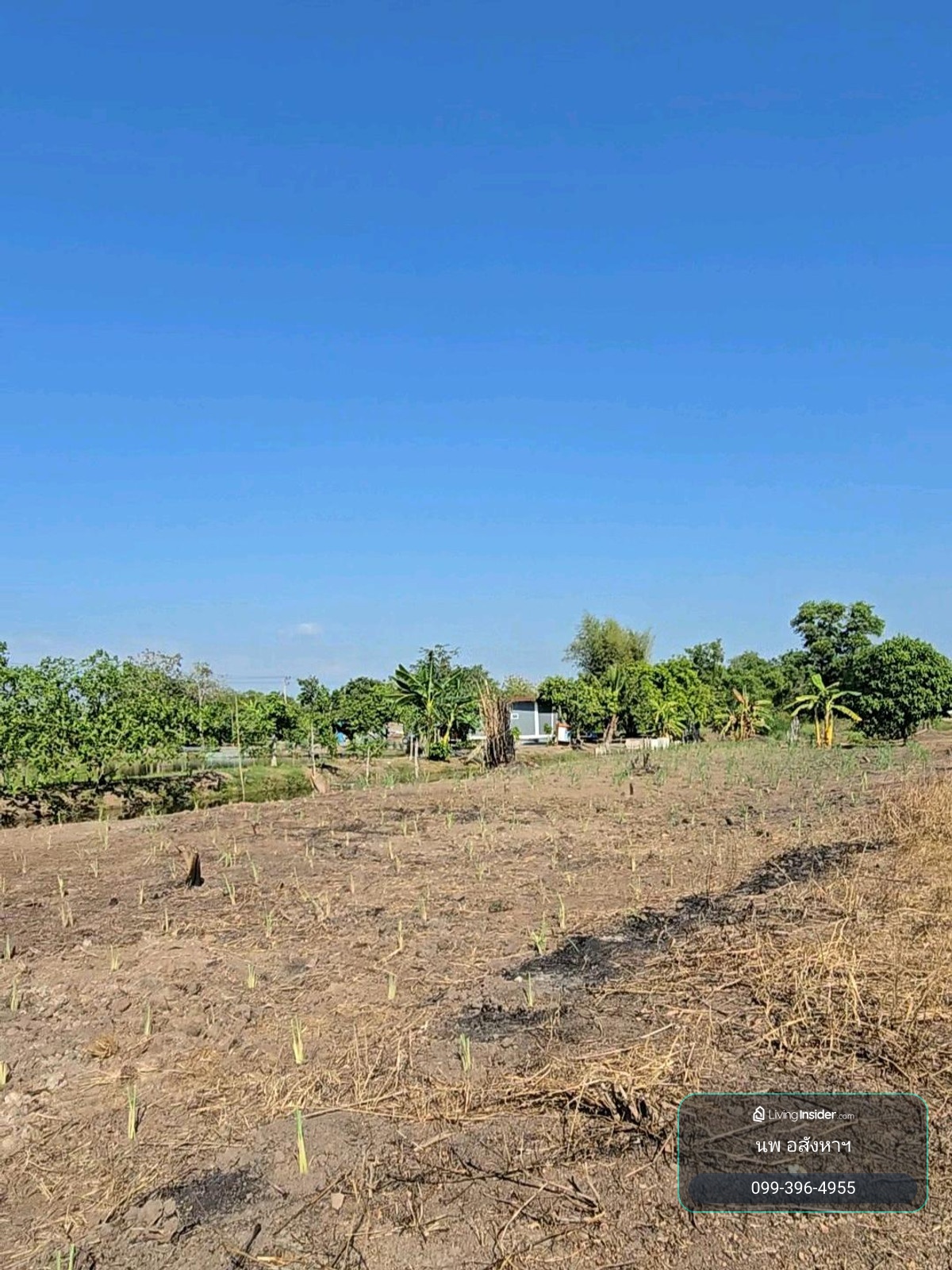 Empty land 200 sq m, Khlong 6, Pathum Thani Province, for sale 790,0000 baht. – รูปที่ 4