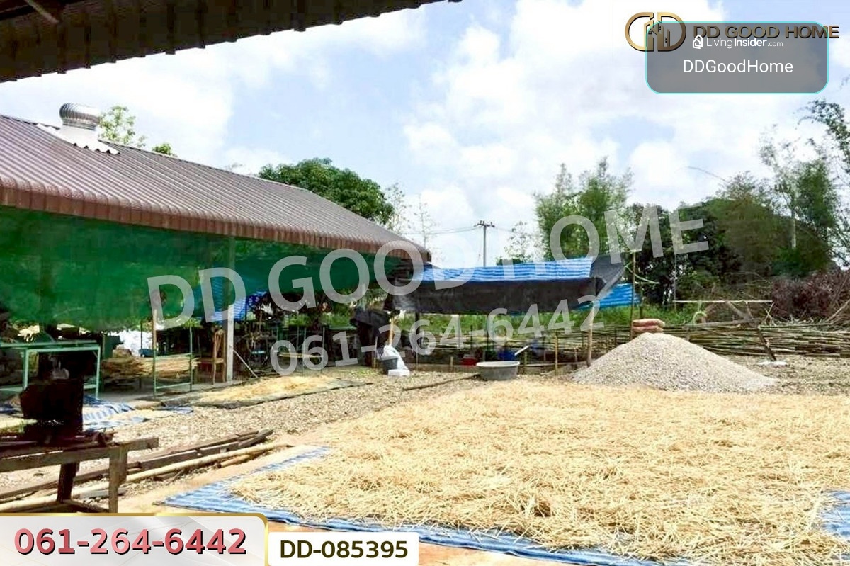 ที่ดินบ้านแลง 1 ไร่ 56.6 ตร.ว ลำปาง ใกล้เขื่อนกิ่วลม DD-085395 – รูปที่ 3