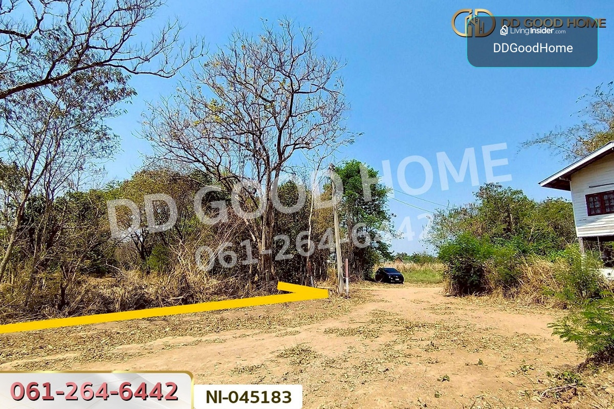 ที่ดินปากช่อง 14 ไร่ 323 ตร.ว. พญาเย็น นครราชสีมา ใกล้The wild เขาใหญ่ NI-045183 – รูปที่ 4