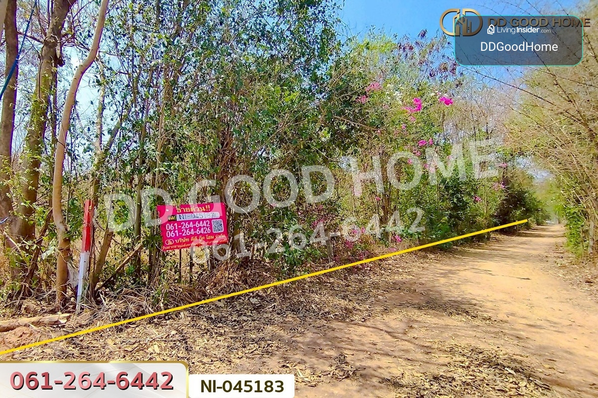 ที่ดินปากช่อง 14 ไร่ 323 ตร.ว. พญาเย็น นครราชสีมา ใกล้The wild เขาใหญ่ NI-045183 – รูปที่ 3