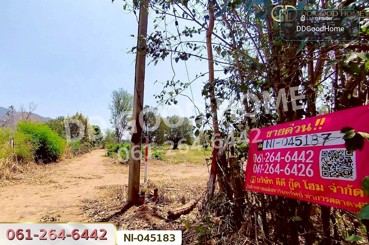 ที่ดินปากช่อง 14 ไร่ 323 ตร.ว. พญาเย็น นครราชสีมา ใกล้The wild เขาใหญ่ NI-045183 – รูปที่ 2