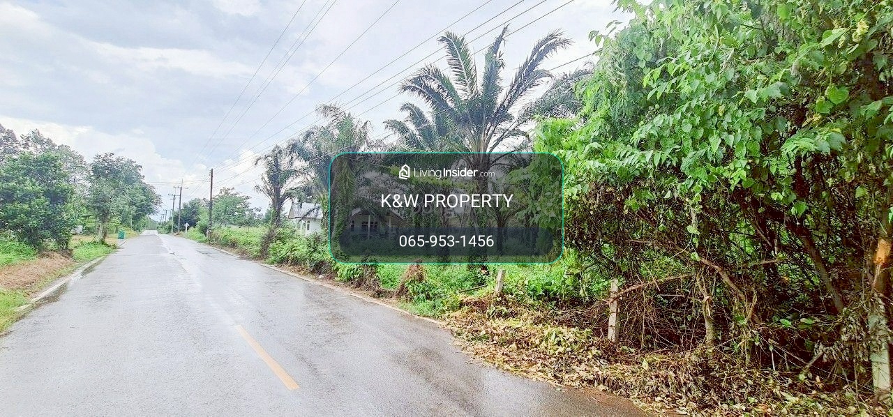 🌿 Land for sale, 54 rai, Sa Kaeo, with rubber plantation-palm plantation and house. – รูปที่ 4