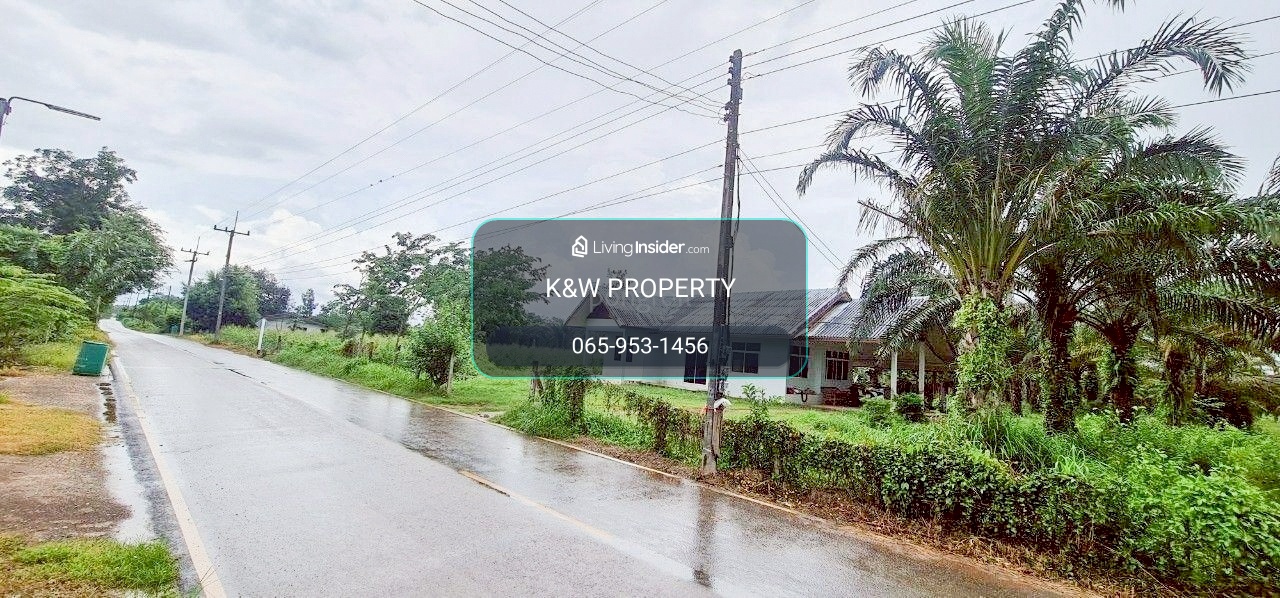 🌿 Land for sale, 54 rai, Sa Kaeo, with rubber plantation-palm plantation and house. – รูปที่ 3