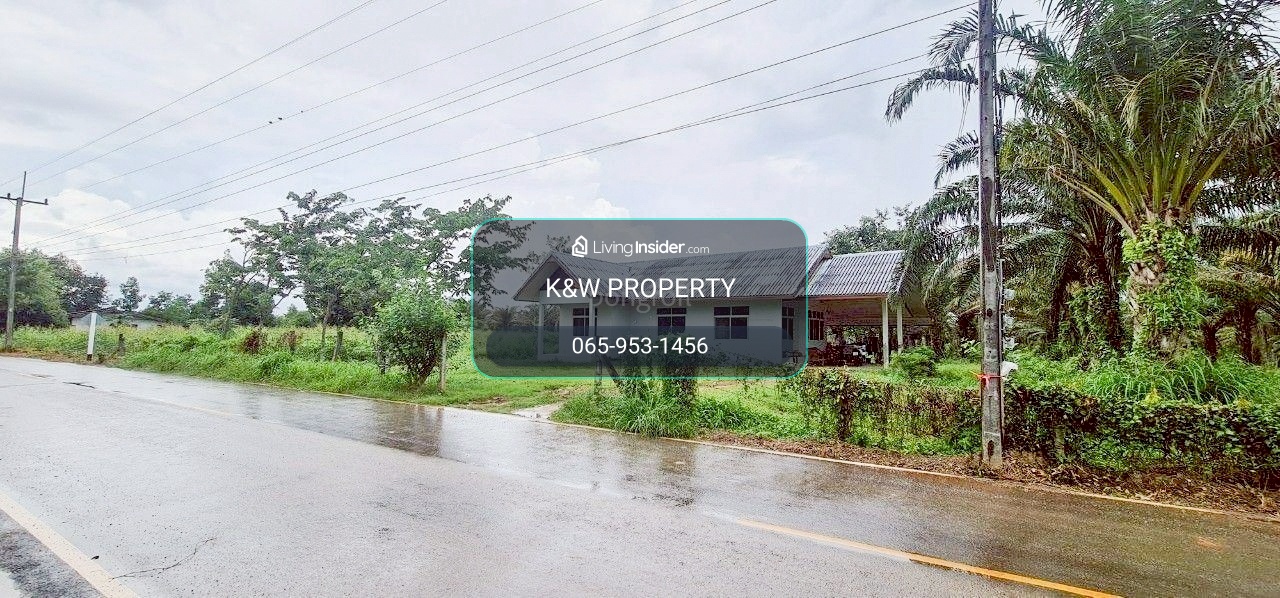 🌿 Land for sale, 54 rai, Sa Kaeo, with rubber plantation-palm plantation and house. – รูปที่ 2