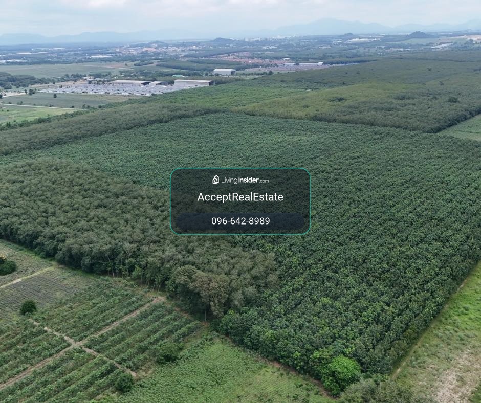 ที่ดินสวย ทำเลศักยภาพ EEC นิคมพัฒนา ระยอง 139-1-62 ไร่ – รูปที่ 3