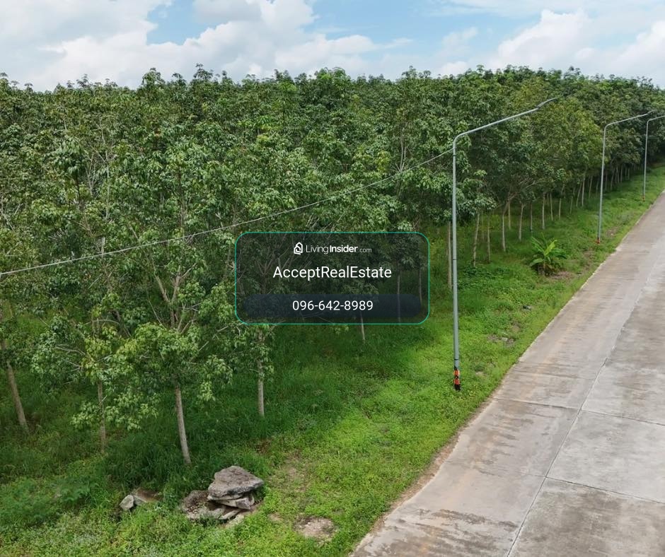 ที่ดินสวย ทำเลศักยภาพ EEC นิคมพัฒนา ระยอง 139-1-62 ไร่ – รูปที่ 4