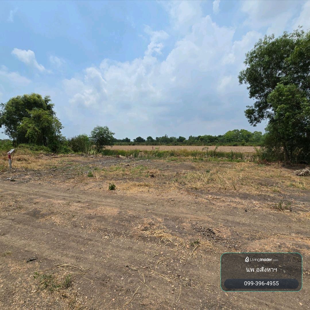 Land for sale, 200 sq m, Khlong 6, Pathum Thani Province, next to roads on two sides. 890,000 baht free transfer – รูปที่ 4