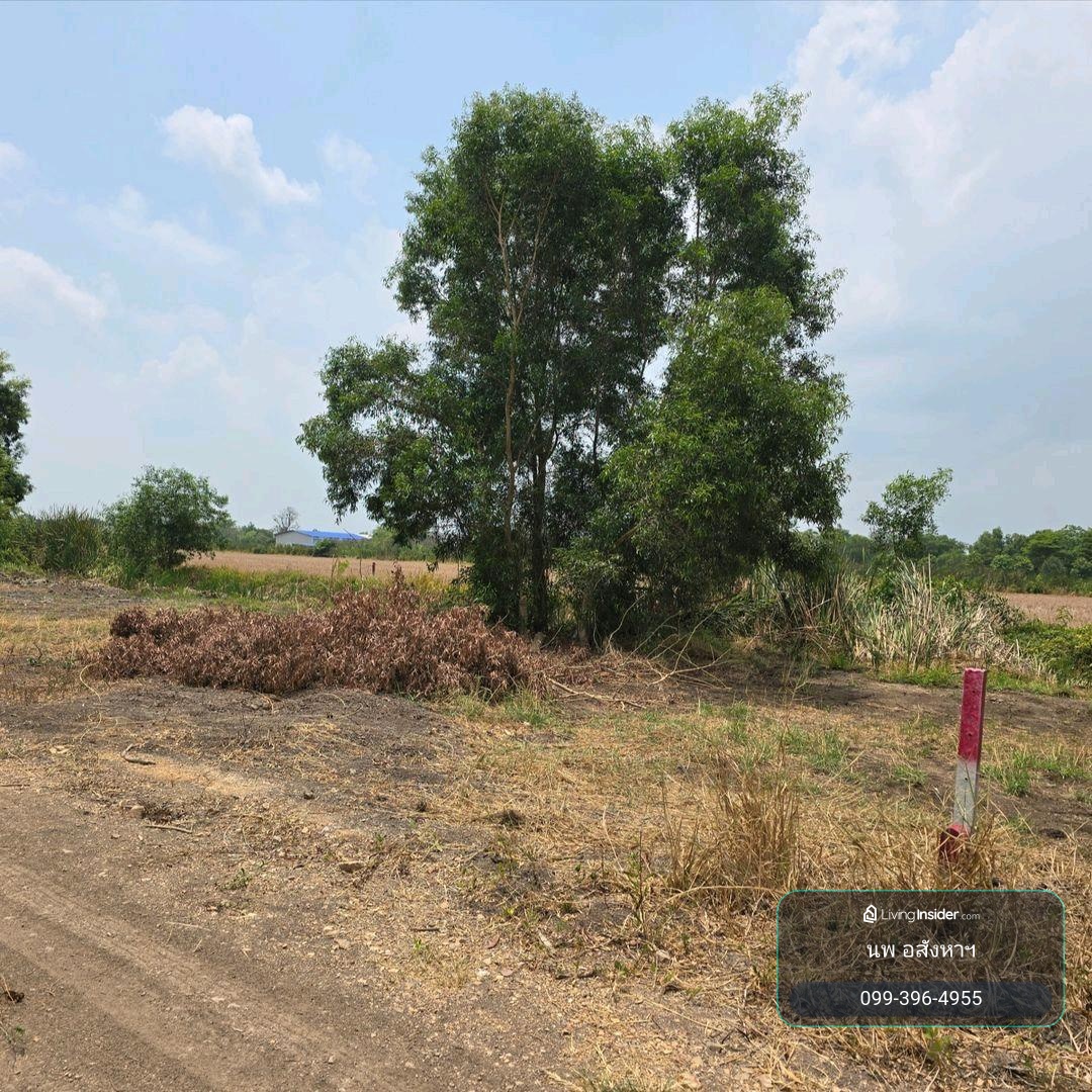 Land for sale, 200 sq m, Khlong 6, Pathum Thani Province, next to roads on two sides. 890,000 baht free transfer – รูปที่ 3