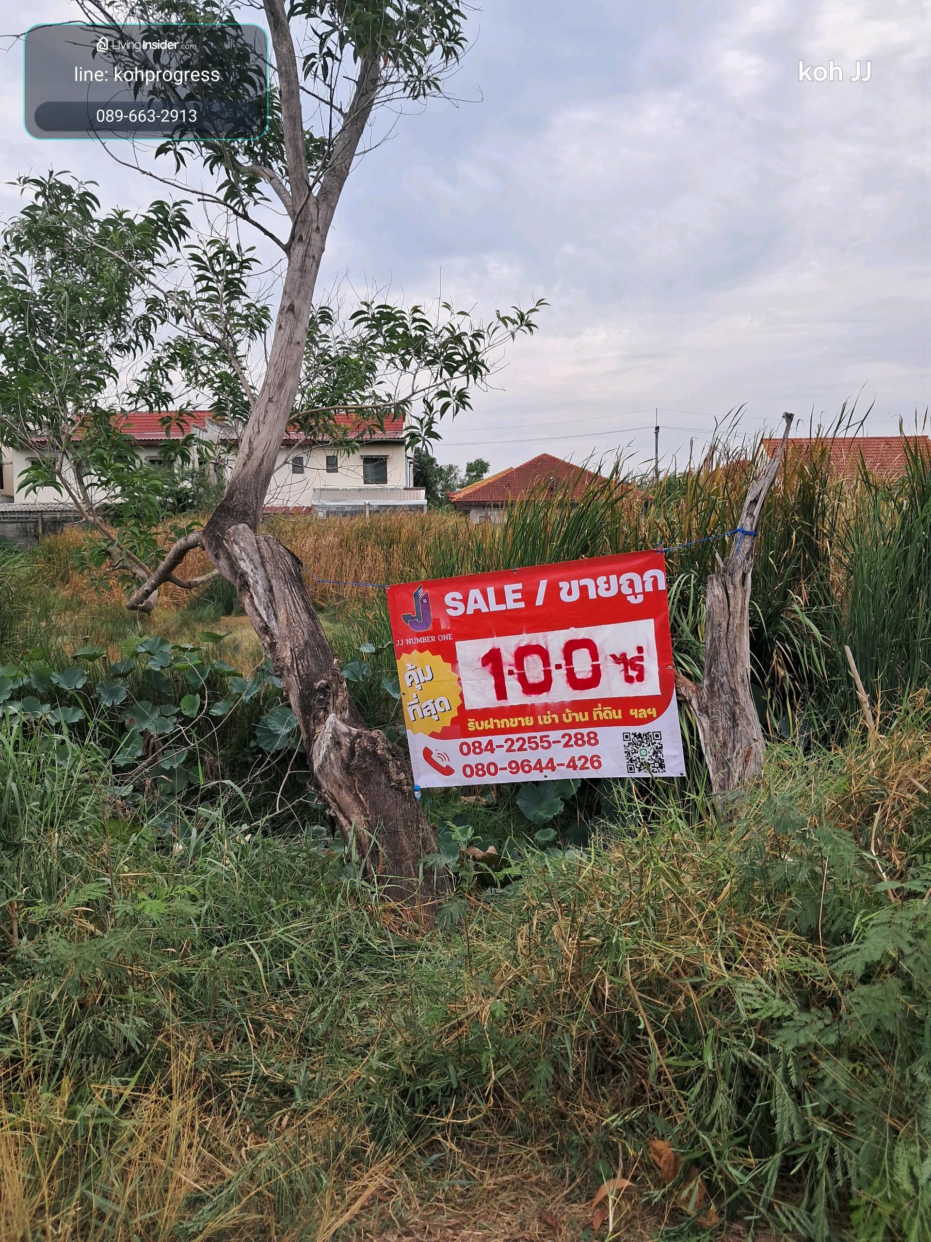 Urgent sale! Land in prime location, 1 rai, Wang Noi-Phahon Yothin. Near Siam Tak factory
​Beautiful plot plan, wide width, suitable for building a warehouse, storehouse, or project development. – รูปที่ 3