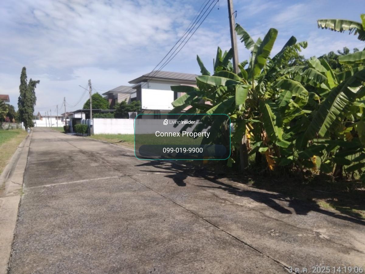 For Sale Land , Sivalee Rangsit 2 , Khu Khot , Lam Luk Ka , Pathum Thani , CX-154968 – รูปที่ 2