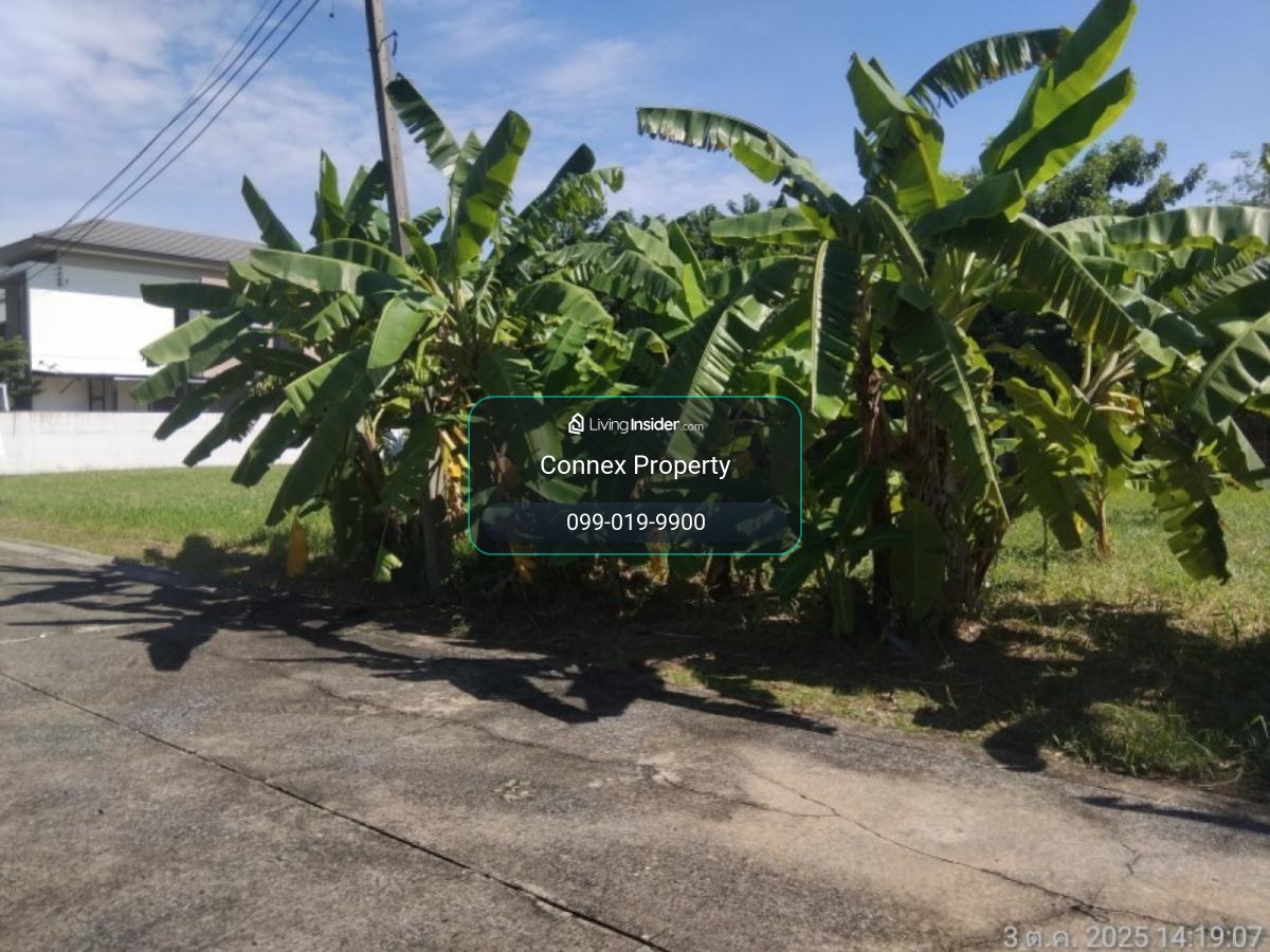 For Sale Land , Sivalee Rangsit 2 , Khu Khot , Lam Luk Ka , Pathum Thani , CX-154968 – รูปที่ 3