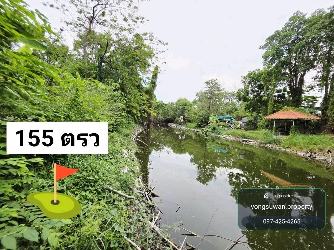 ขายที่ดิน รังสิตคลอง3 155 ตรว. ติด Lake ใกล้ดรีมเวิลด์ – รูปที่ 2
