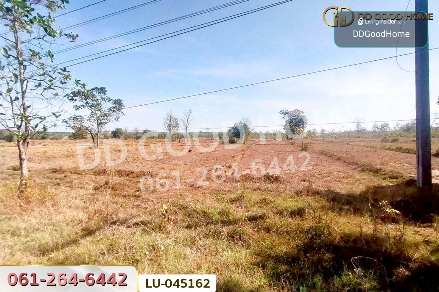 ที่ดินพรรณานิคม 14 ไร่ 196  ตร.ว. สกลนคร ใกล้องค์การบริหารส่วนตำบลบะฮี LU-045162 – รูปที่ 3