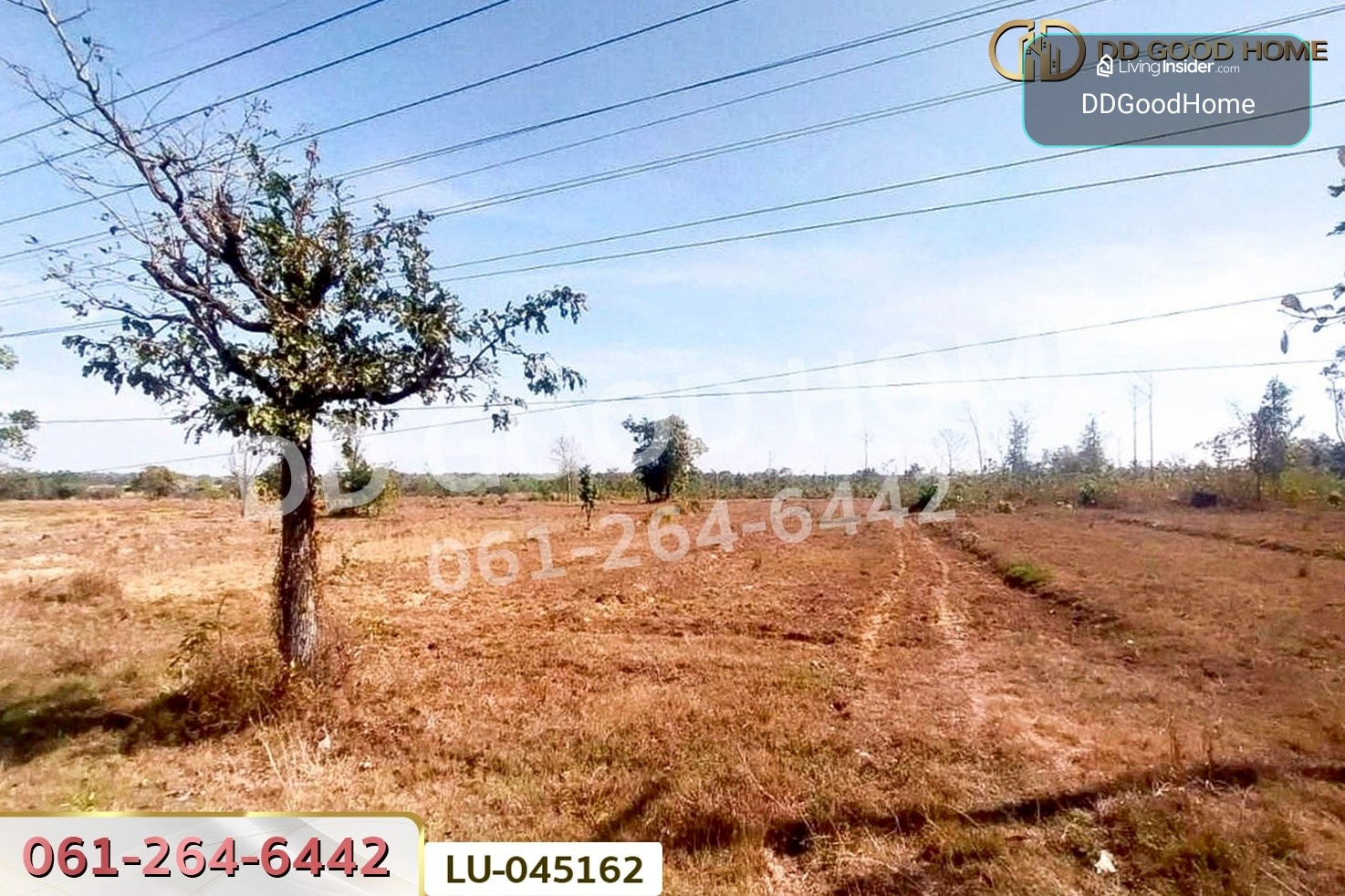 ที่ดินพรรณานิคม 14 ไร่ 196  ตร.ว. สกลนคร ใกล้องค์การบริหารส่วนตำบลบะฮี LU-045162 – รูปที่ 2
