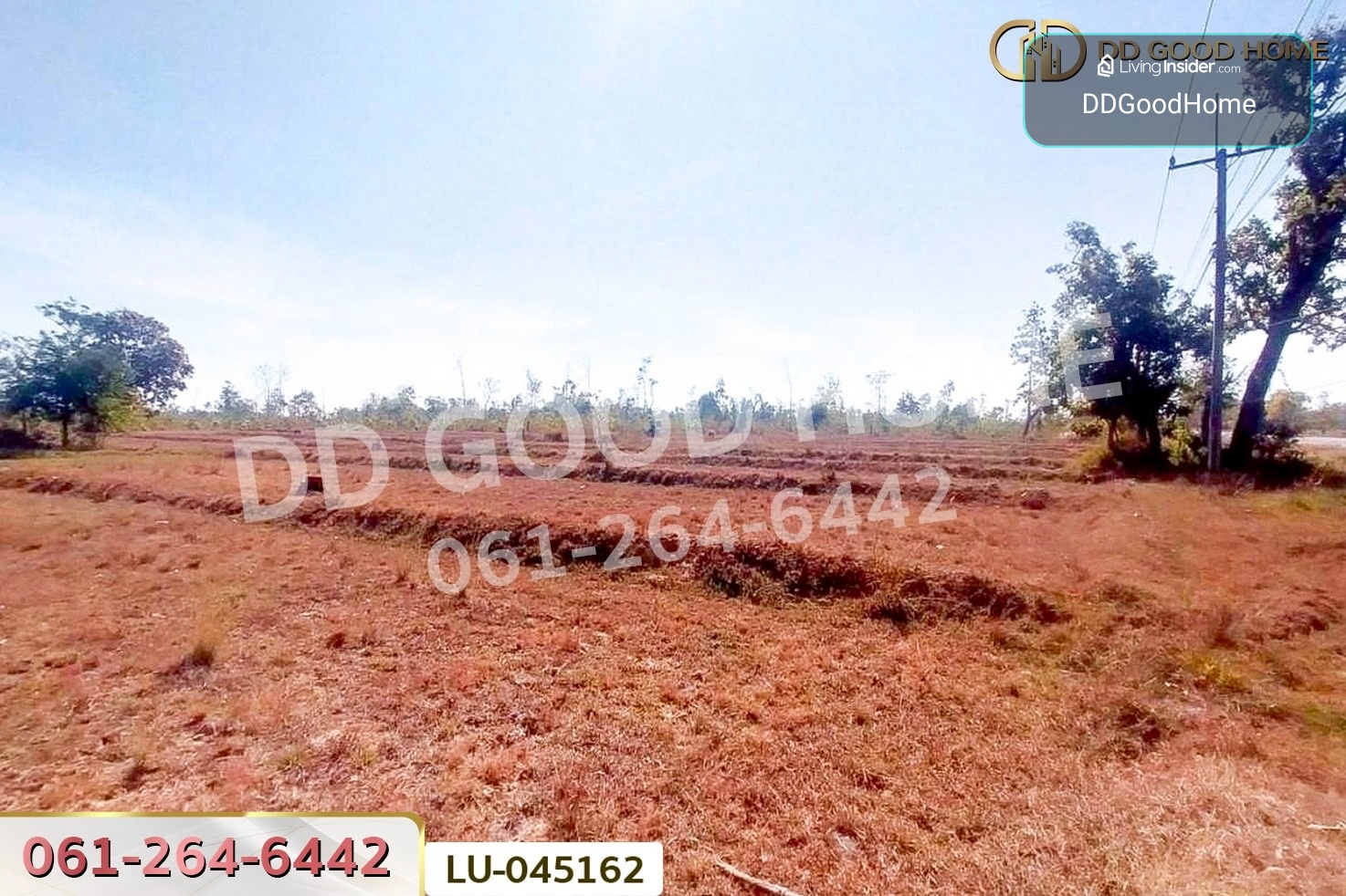 ที่ดินพรรณานิคม 14 ไร่ 196  ตร.ว. สกลนคร ใกล้องค์การบริหารส่วนตำบลบะฮี LU-045162 – รูปที่ 4
