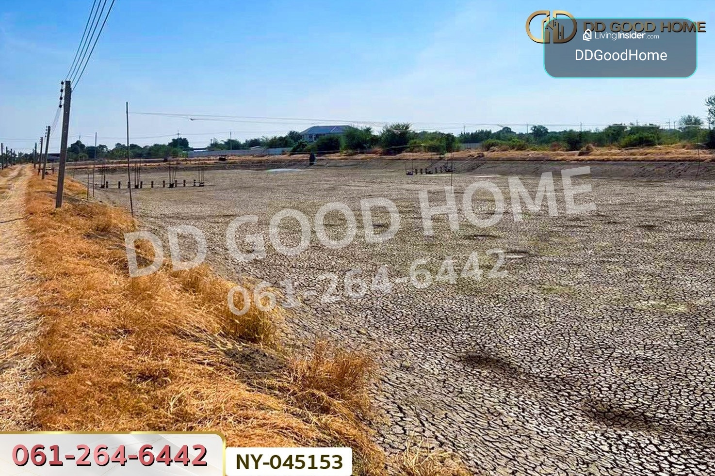 Land for sale in Bang Pakong, Chachoengsao, 9 rai 287 sq.wa.,  NY-045153 – รูปที่ 4