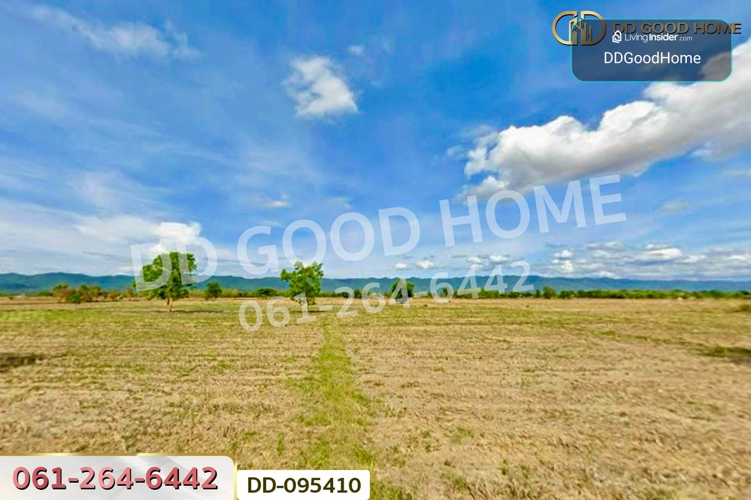 Land for Sale, San Khong, 22 rai 66 sq.w., Dok Khamtai, Phayao, DD-095410 – รูปที่ 3