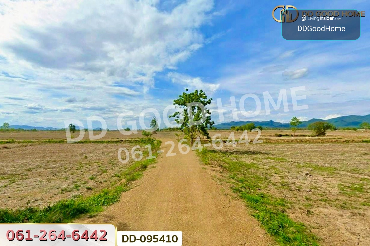 Land for Sale, San Khong, 22 rai 66 sq.w., Dok Khamtai, Phayao, DD-095410 – รูปที่ 4