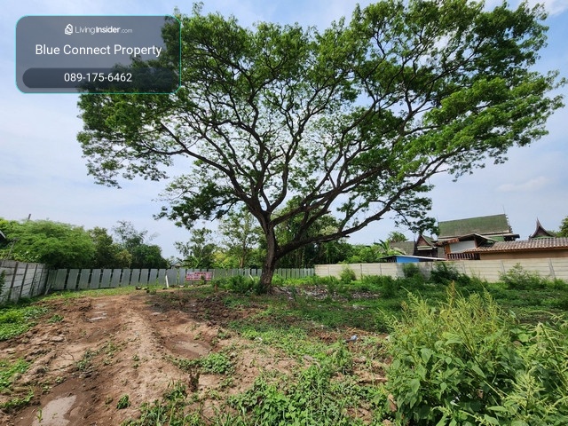 Sale land in Nong Chok, 573 square wah, back next to Saen Saep canal. Next to Liapwaree Road, good location, suitable for building a house on the water or a resort. – รูปที่ 4
