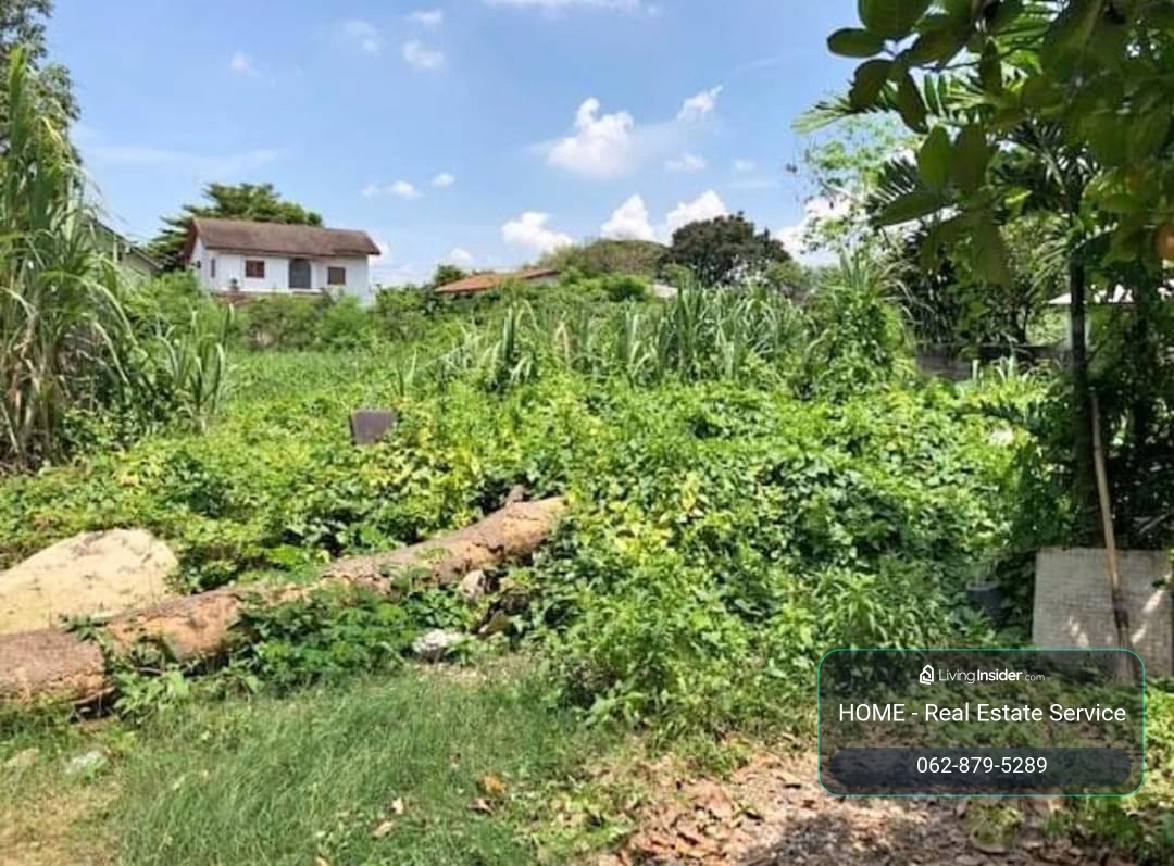 ที่ดิน ปุณณวิถี 37 / 98 ตารางวา (ขาย), Land Punnawithi 37 / 98 Square Wa (FOR SALE) GNG141 – รูปที่ 4