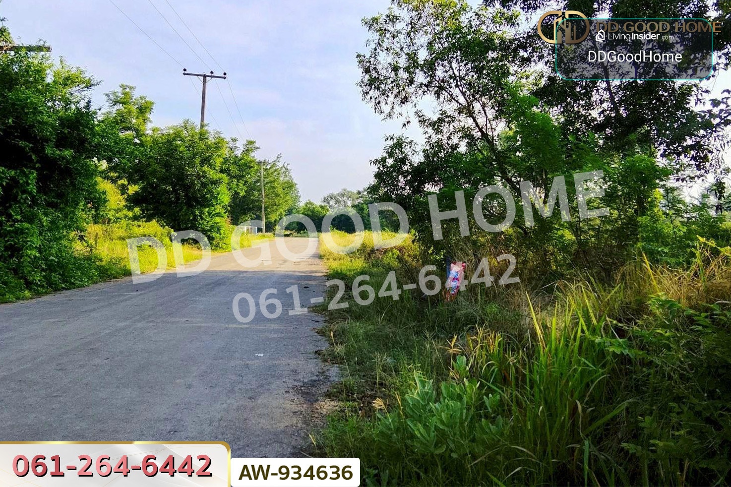 Land plot in Ban Ba Siew, Noen Songa, 136.6 sq.wa., Chaiyaphum AW-934636 – รูปที่ 2