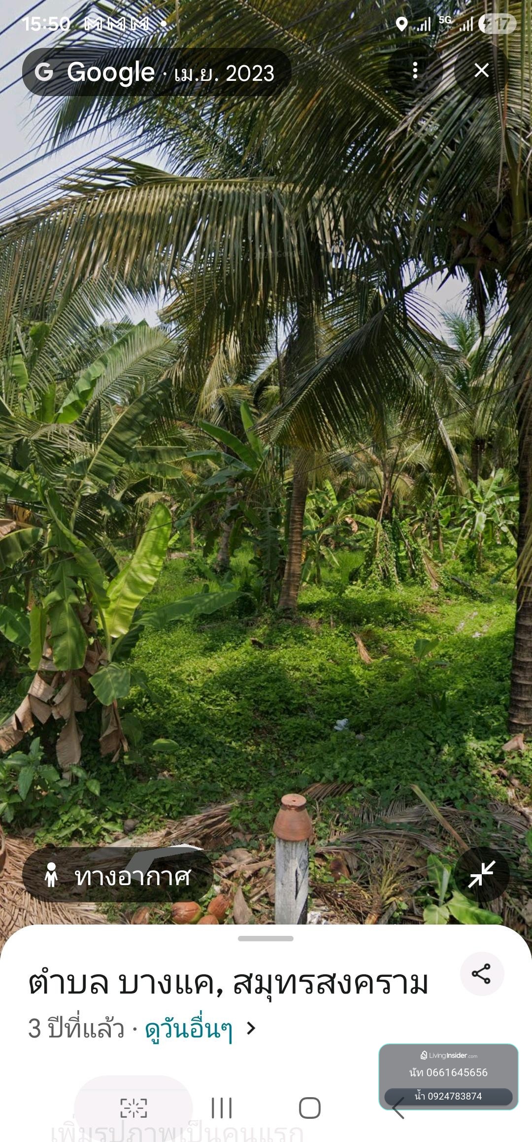 ขายสวนมะพร้าวแท้ อัมพวา 🌴
2 ไร่ 1 งาน 42 ตร.ว.
บางแค อัมพวา สมุทรสงคราม – รูปที่ 3