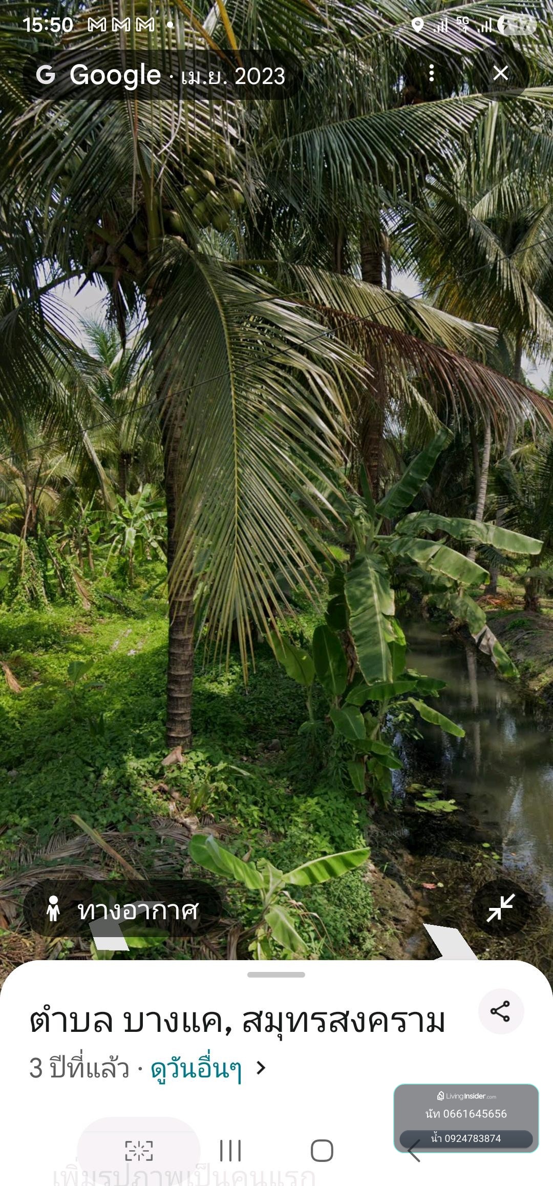 ขายสวนมะพร้าวแท้ อัมพวา 🌴
2 ไร่ 1 งาน 42 ตร.ว.
บางแค อัมพวา สมุทรสงคราม – รูปที่ 4