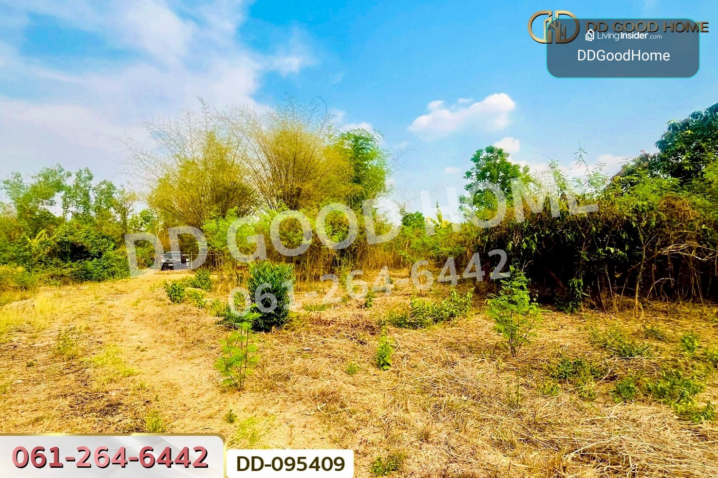 ที่ดินมะเขือแจ้ 3 ไร่ 390 ตร.ว. เมืองลำพูน ใกล้ศาลจังหวัดลำพูน DD-095409 – รูปที่ 4