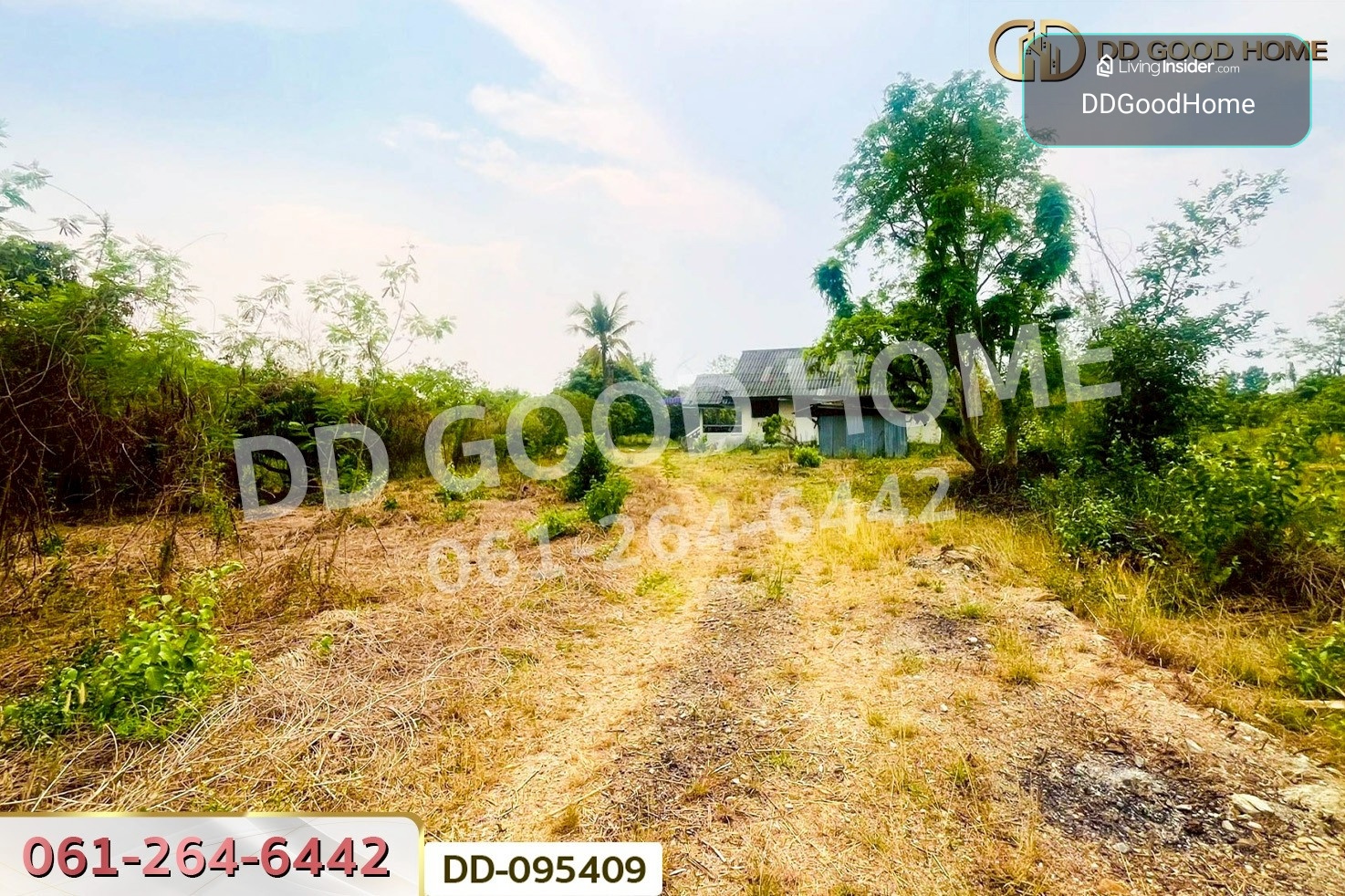 ที่ดินมะเขือแจ้ 3 ไร่ 390 ตร.ว. เมืองลำพูน ใกล้ศาลจังหวัดลำพูน DD-095409 – รูปที่ 3