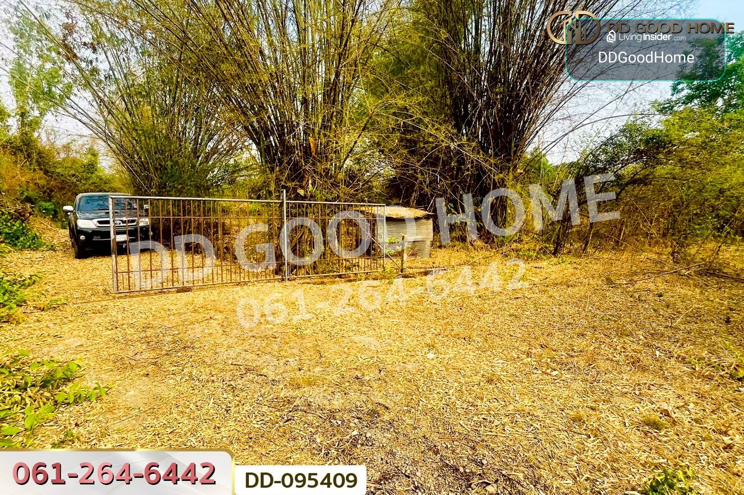 ที่ดินมะเขือแจ้ 3 ไร่ 390 ตร.ว. เมืองลำพูน ใกล้ศาลจังหวัดลำพูน DD-095409 – รูปที่ 2