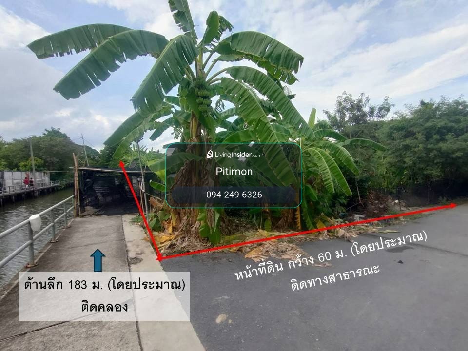 🌿✨ ขายที่ดิน 6 ไร่กว่า ย่านพุทธมณฑลสาย 2 📌 ที่ดินเหมาะมากสำหรับ 🌿 Wellness / Senior Living🏡 บ้านหรู  – รูปที่ 3