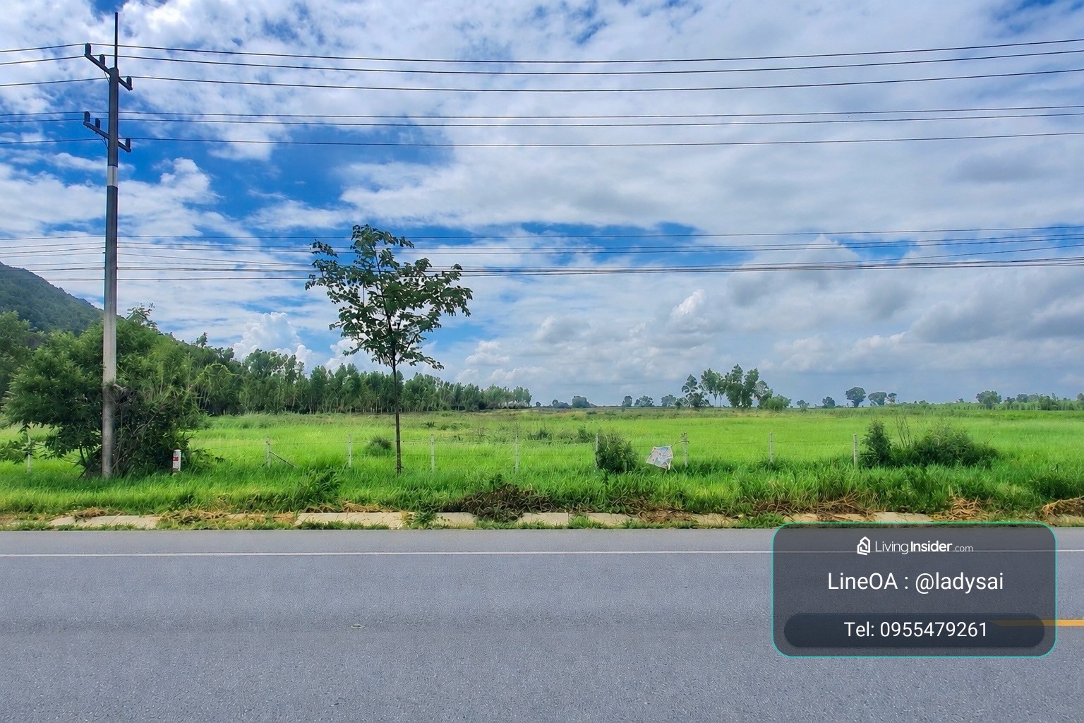 🌳ขายที่ดินติดถนนใหญ่ 3342 วิวภูเขา อ.ห้วยกระเจา จ.กาญจนบุรี  📌LineOA : @ladysai  – รูปที่ 2