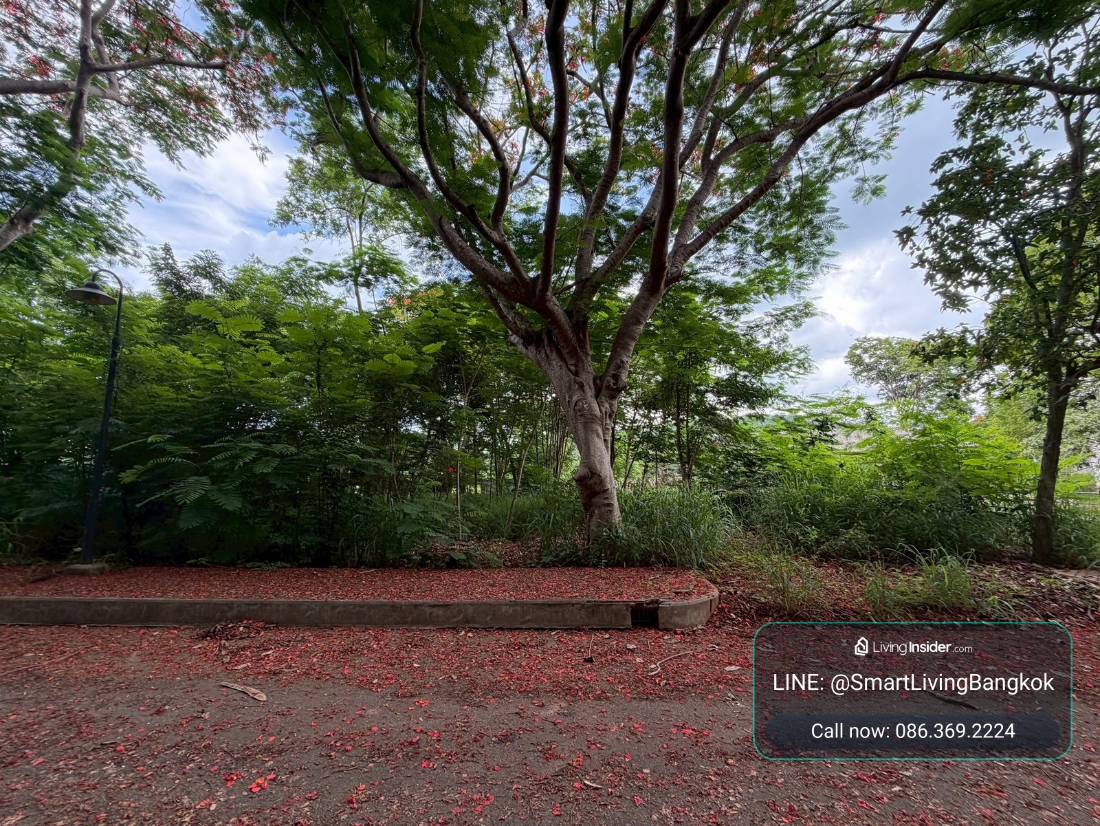 ขายที่ดิน หมูสี เขาใหญ่ วิวเขา ใกล้ถนนหลัก ไม่ลึก ใกล้แหล่งท่องเที่ยว เหมาะสร้างบ้านพัก พูลวิลล่า – รูปที่ 2