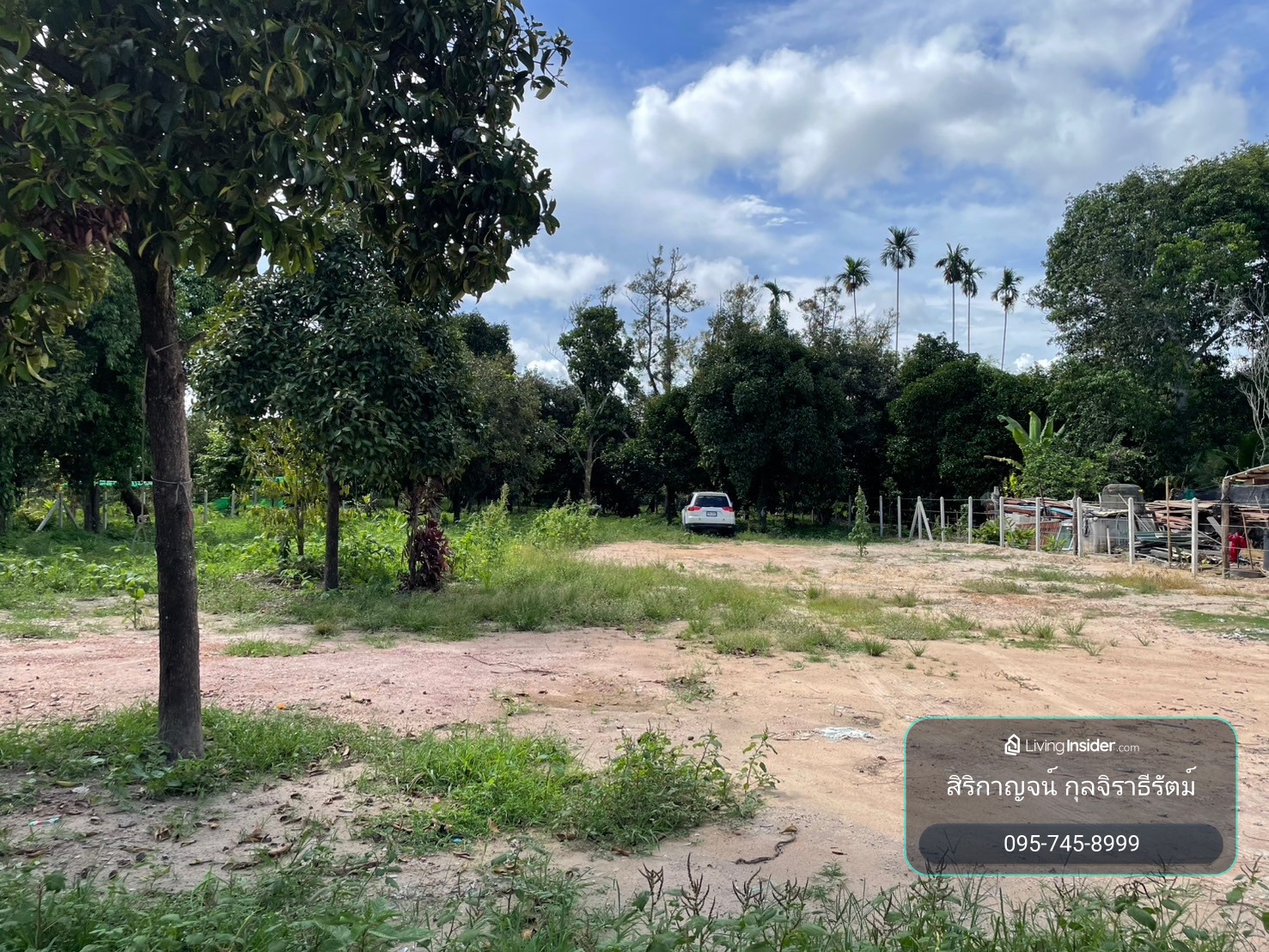 ขายที่ดิน 1 ไร่ ตะพง เมืองระยอง ติดถนนคอนกรีต ใกล้ตลาดผลไม้ตะพง ใกล้เขายายดา เหมาะสำหรับอยู่ในวัยเกษียณ  – รูปที่ 3