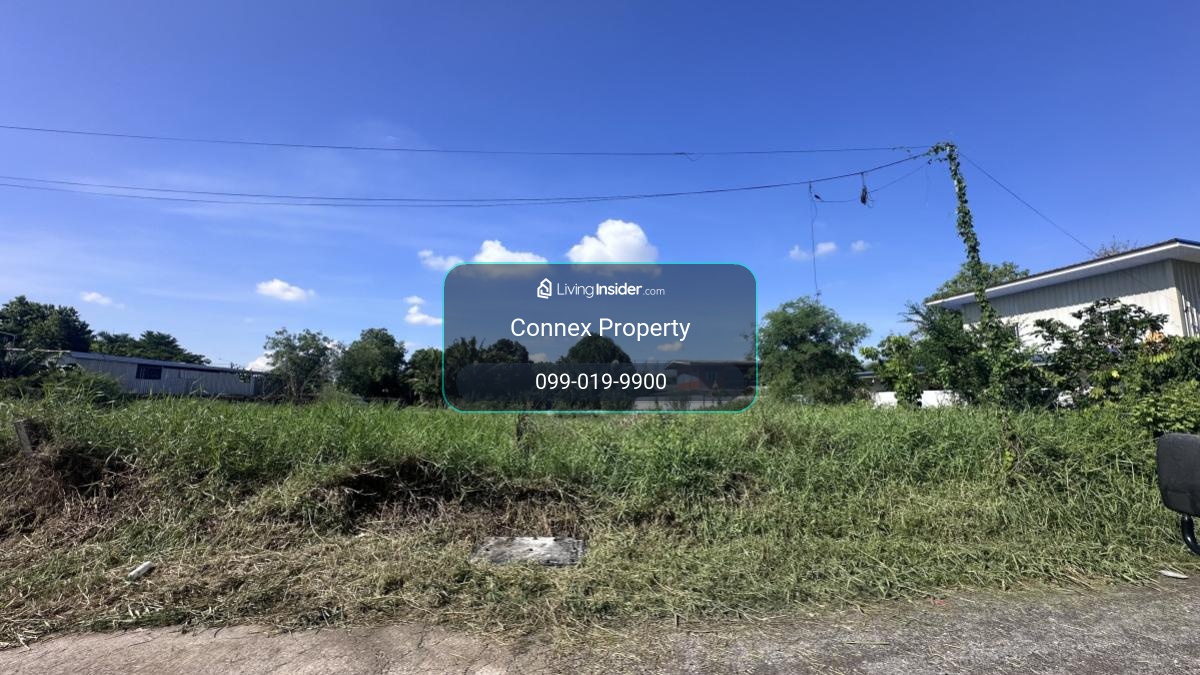 For Sale ที่ดิน สุสวาส 23 , wide frontage , Lat Sawai , Lam Luk Ka , Pathum Thani , CX-158869 – รูปที่ 3