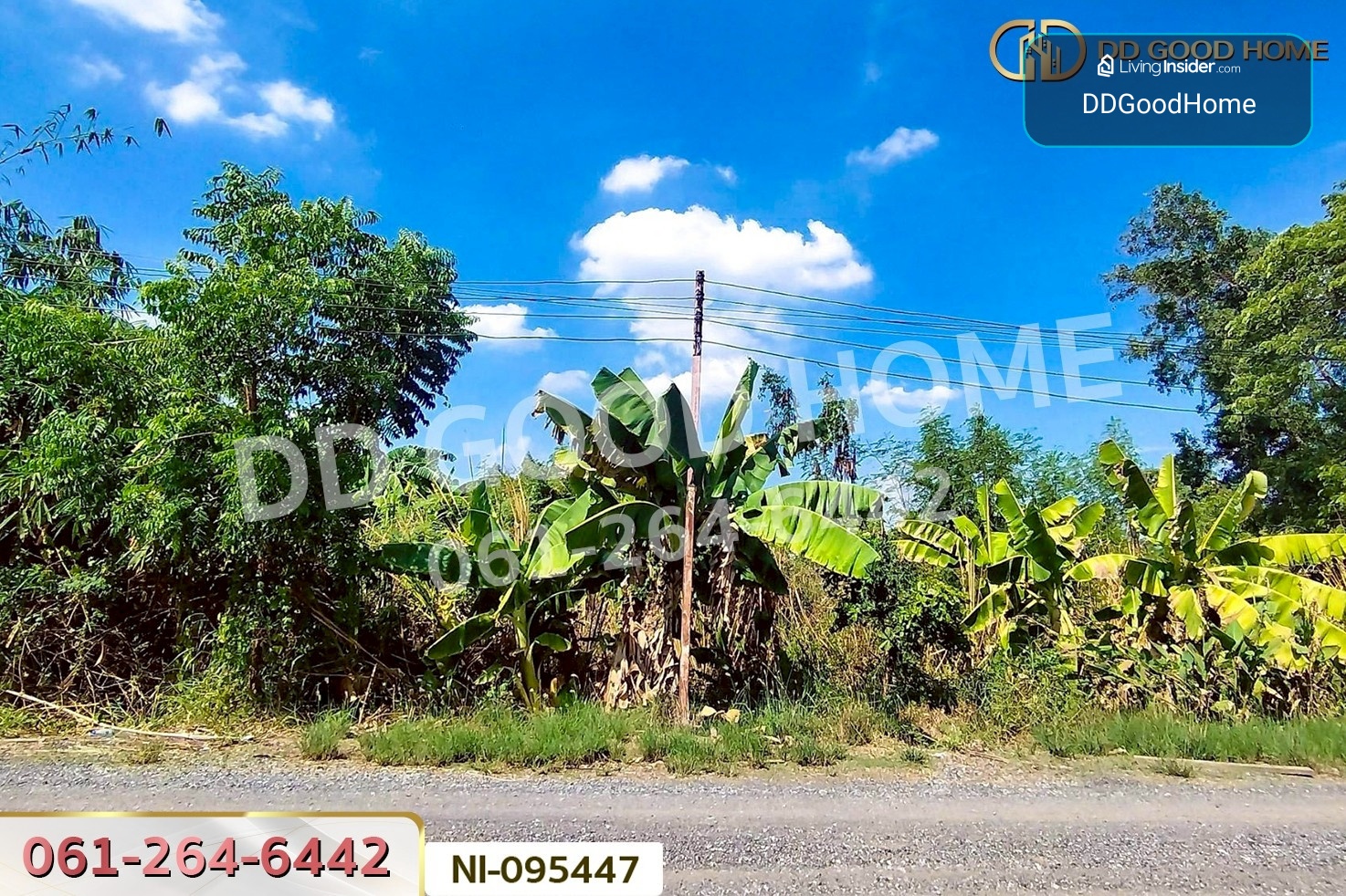 ที่ดินวังน้อย 58 ตร.ว. พระนครศรีอยุธยา ใกล้ตลาดวังน้อยเมืองใหม่ NI-095447 – รูปที่ 2