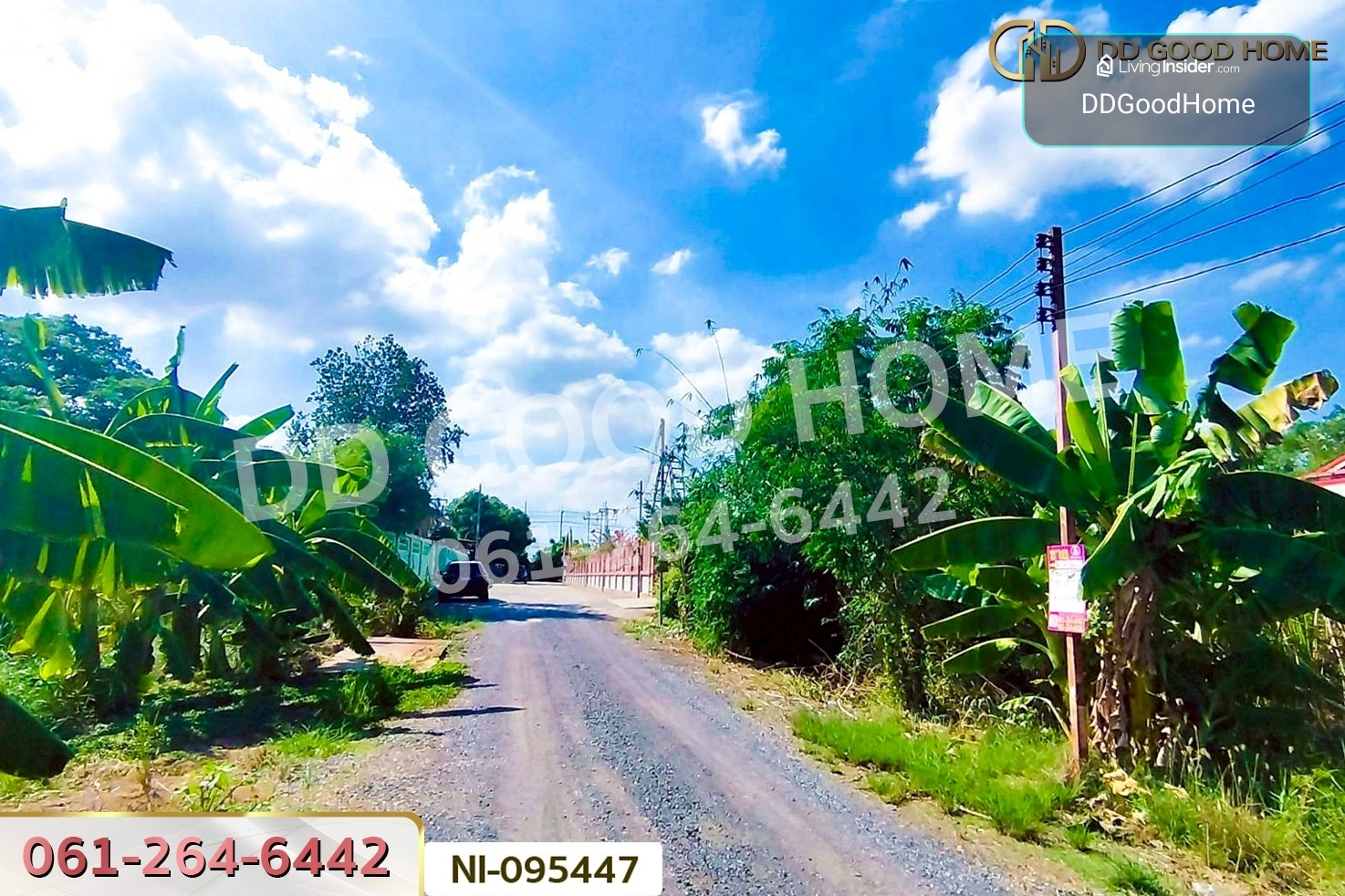 ที่ดินวังน้อย 58 ตร.ว. พระนครศรีอยุธยา ใกล้ตลาดวังน้อยเมืองใหม่ NI-095447 – รูปที่ 3