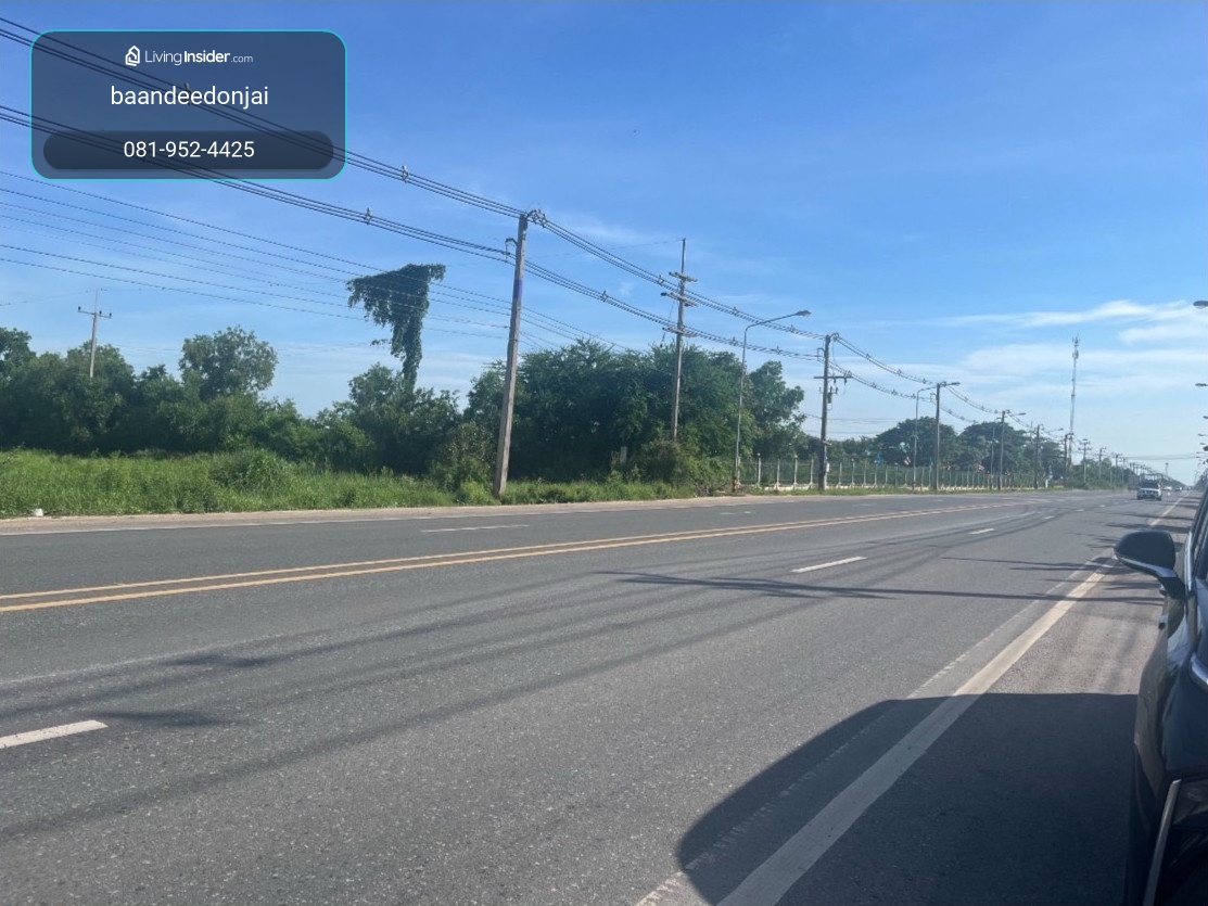 ขายที่ดินถนนตลาดปองพล ฉะเชิงเทรา (15 ไร่) AEC ผังม่วง ติดถนนหลวง 6 เลน  – รูปที่ 3
