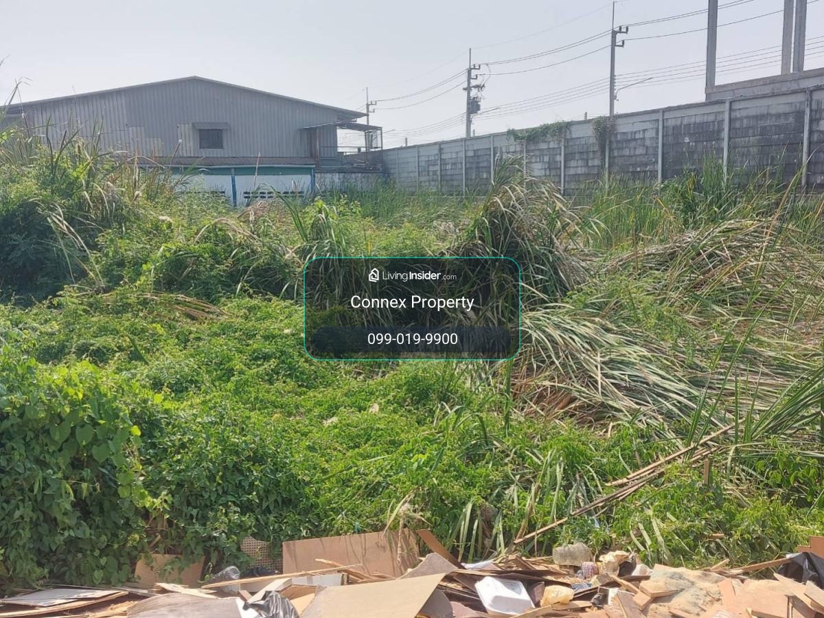 For Sale Vacant Land for Sale in Lam Luk Ka , Lam Luk Ka , Lam Luk Ka , Pathum Thani , CX-160127 – รูปที่ 3