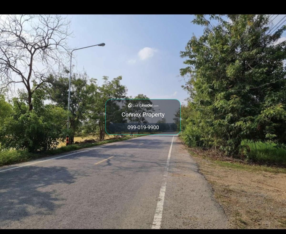 ขายที่ดินเปล่า  หน้ากว้าง หนองสามวัง หนองเสือ ปทุมธานี CX-159446 – รูปที่ 4