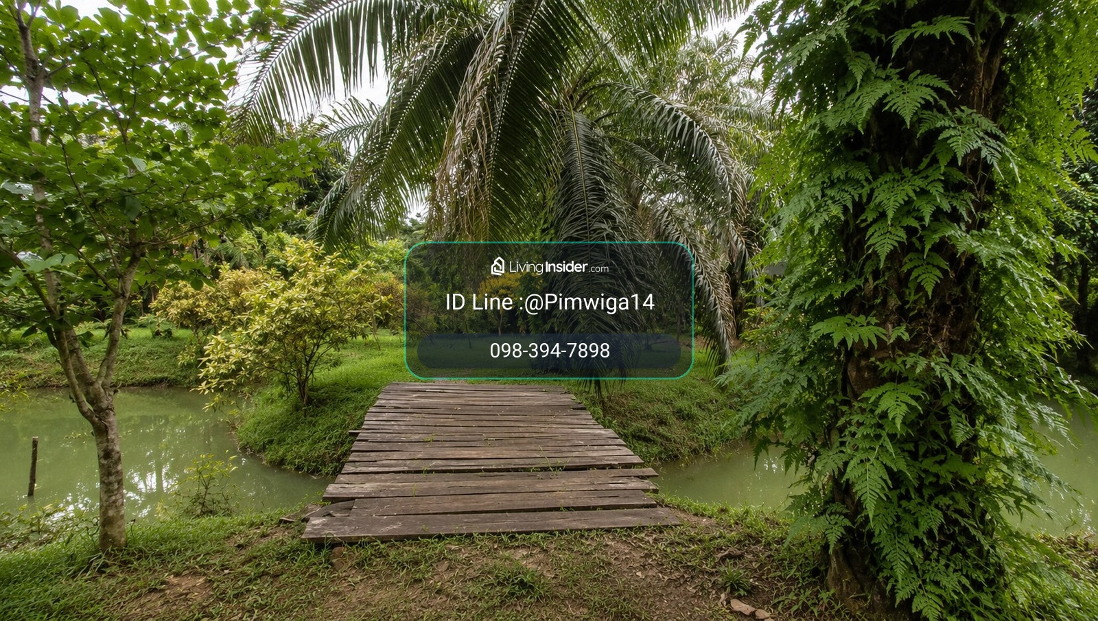 🌿 Rare Item in the middle of nature, Krabi Province 🌿 Title deed 10 rai 2 ngan, rare location, next to the main road Krabi - Khao Thong, opposite "Khlong Ruat", a famous tourist attraction of Krabi. – รูปที่ 2