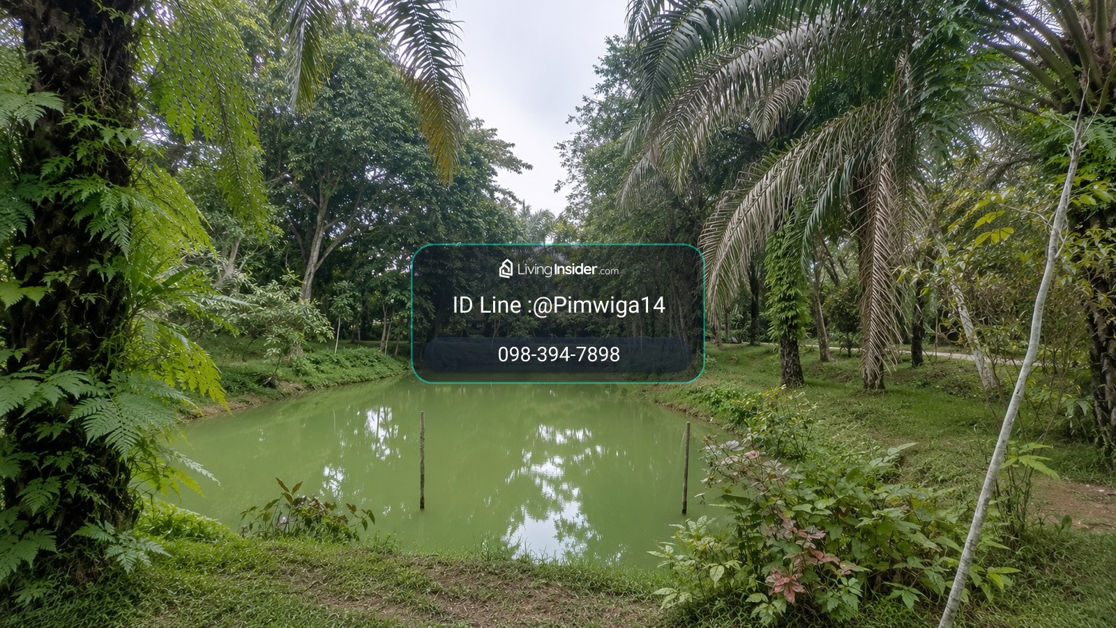 🌿 Rare Item in the middle of nature, Krabi Province 🌿 Title deed 10 rai 2 ngan, rare location, next to the main road Krabi - Khao Thong, opposite "Khlong Ruat", a famous tourist attraction of Krabi. – รูปที่ 3