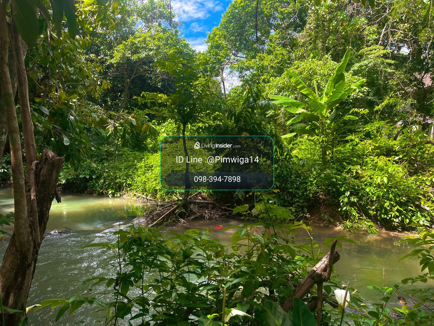 🌿 Rare Item in the middle of nature, Krabi Province 🌿 Title deed 10 rai 2 ngan, rare location, next to the main road Krabi - Khao Thong, opposite "Khlong Ruat", a famous tourist attraction of Krabi. – รูปที่ 4