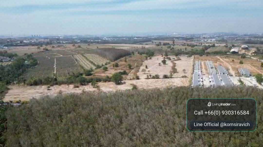 [147 Rai] Prime Industrial Land for Sale in EEC Pluak Daeng, Rayong (Purple Zone) - Gas Pipeline & 3-Phase Power Ready – รูปที่ 3