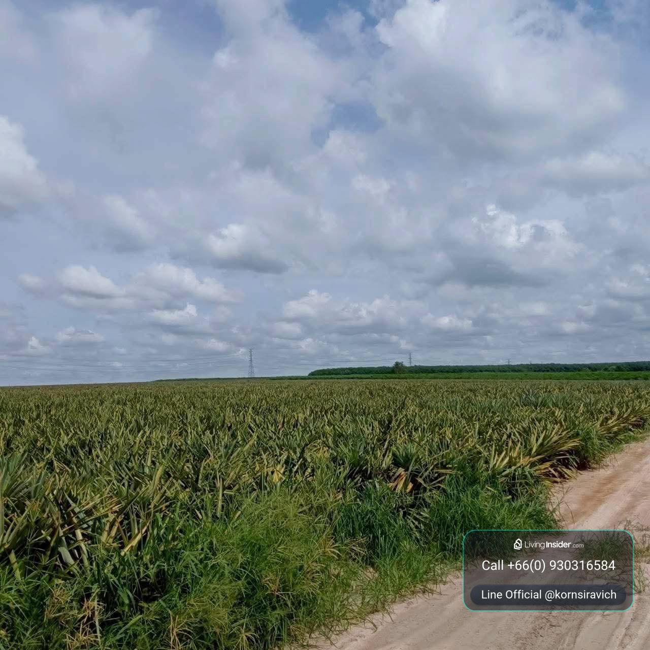 [300-600 Rai] Rare Yellow Zone Land for Sale Next to WHA Ban Khai Industrial Estate, Rayong – รูปที่ 2